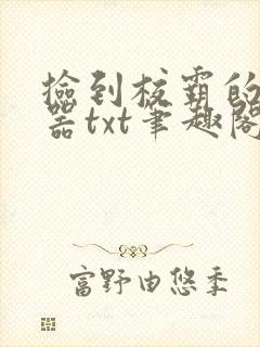 捡到校霸的遥控器txt笔趣阁