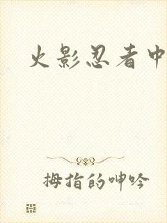 火影忍者中文网封面