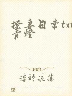 撩妻日常txt青灯