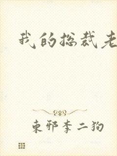 我的总裁老妈封面