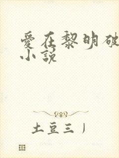 爱在黎明破晓前小说封面