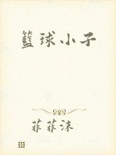 篮球小子