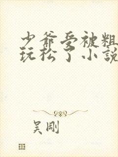 少爷受被粗汉H玩松了小说