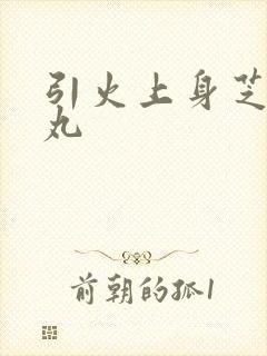 引火上身芝麻糖丸