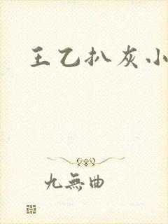 王乙扒灰小说封面