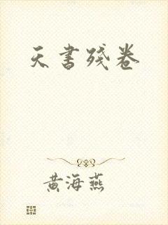 天书残卷封面