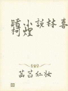 赌小说林喜朝和柯煜封面