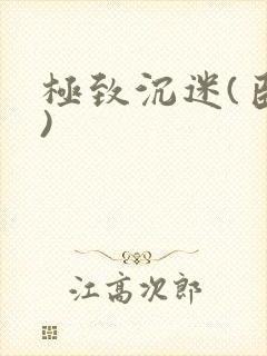 极致沉迷(臣年)封面