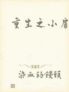 重生之小房东封面