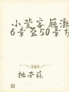 小莹客厅激情46章至50章视封面