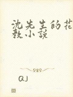 沈先生的花式调教小说