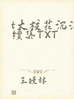 t大校花沉浮录续集TXT