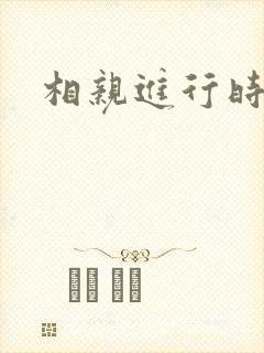 相亲进行时封面