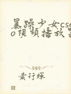 暴躁少女csgo视频播放器推荐