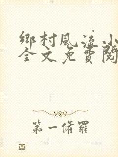 乡村风流小傻子全文免费阅读封面