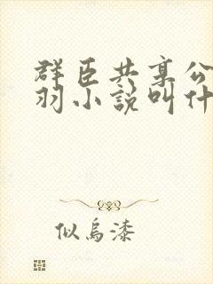 群臣共享公主银羽小说叫什么封面