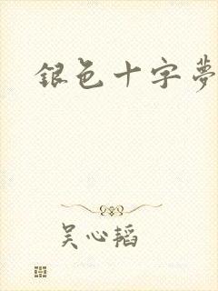 银色十字梦封面