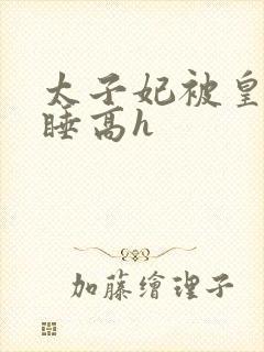 太子妃被皇上强睡高h封面