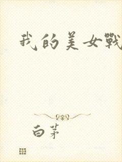 我的美女战队封面