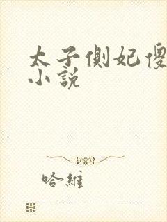 太子侧妃傻乎乎小说封面