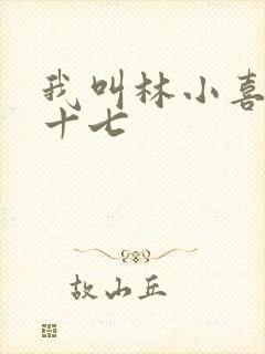 我叫林小喜今年十七封面
