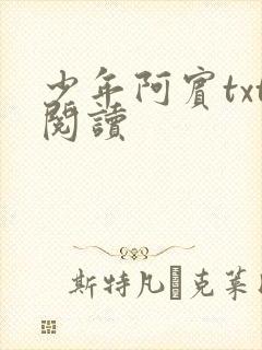 少年阿宾txt阅读
