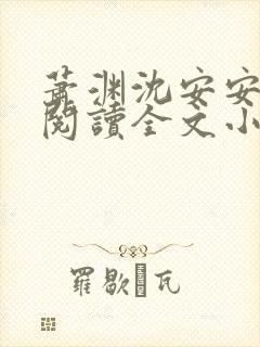 萧渊沈安安免费阅读全文小说封面