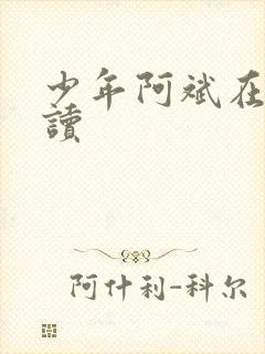 少年阿斌在线阅读封面