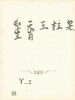 擎天玉柱是什么生肖