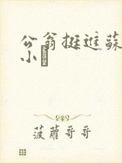 公翁挺进苏玥的小泬