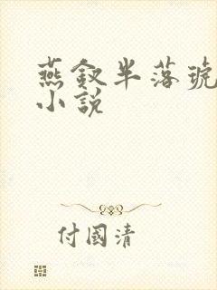 燕钗半落琥珀糖小说