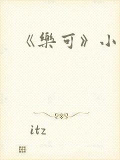 《乐可》小说封面