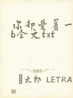 你却爱着一个sb全文txt封面