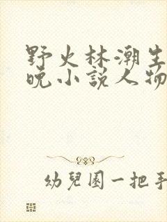 野火林潮生林晚晚小说人物野火