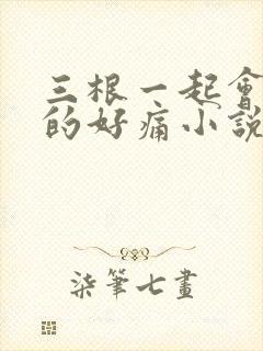 三根一起会坏掉的好痛小说封面