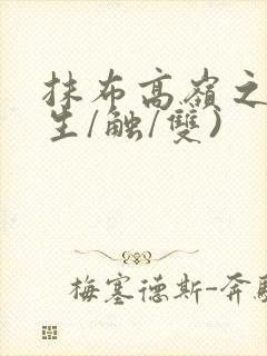 抹布高岭之花(生/触/双)封面