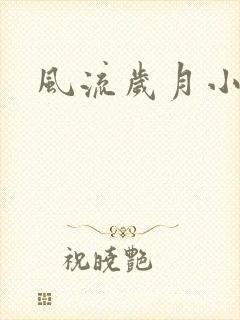 风流岁月小说封面