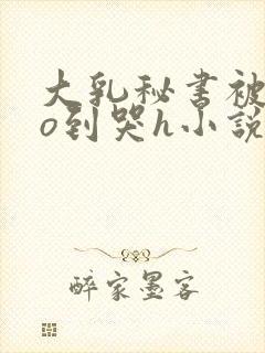 大乳秘书被cao到哭h小说