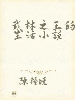 武林之王的退隐生活小说