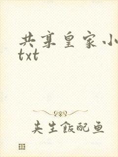 共享皇家小公主txt