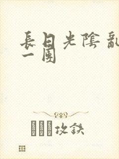 长日光阴 乱作一团封面