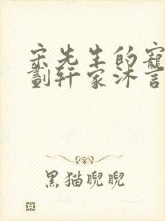 宋先生的宠妻计划轩家沐言