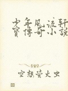 少年风流轩辕大宝传奇小说