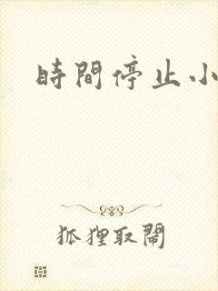 时间停止小说