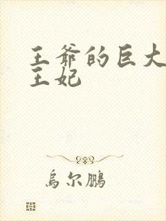 王爷的巨大进入王妃