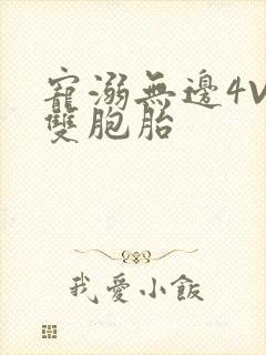 宠溺无边4V2双胞胎