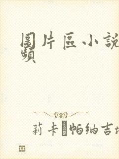 图片区小说区视频