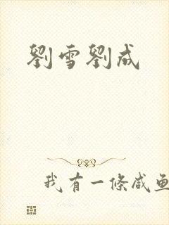 刘雪刘成封面