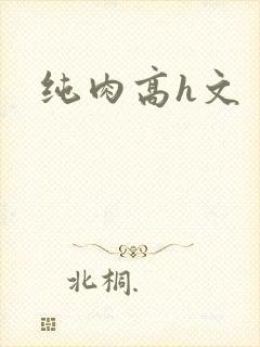 纯肉高h文