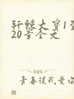 轩辕大宝1至720章全文封面